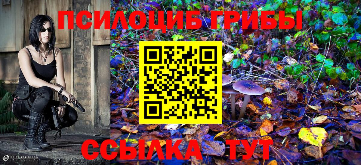 Псилоцибиновые грибы GOLDEN TEACHER  Вход с VPN  Тосно 